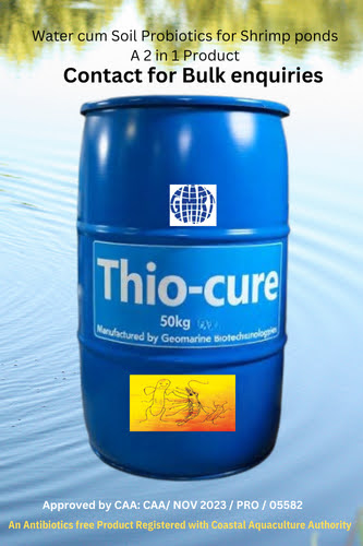 Thio-Cure 50kg drum — Water cum Soil Probiotics for Shrimp Ponds
